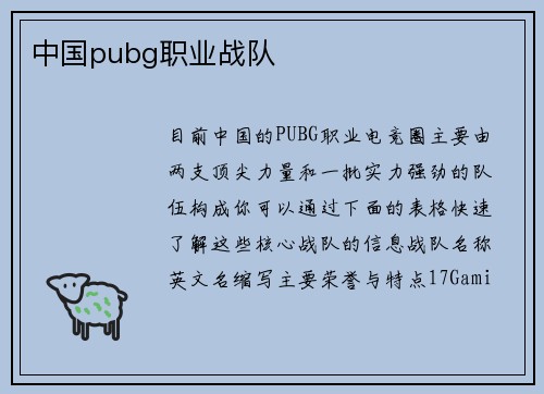 中国pubg职业战队